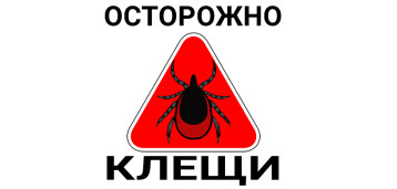 Памятка населению о мероприятиях по профилактике укусов клещей Памятка населению о мероприятиях по профилактике укусов клещей.