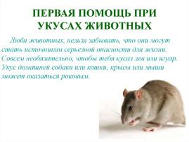 Мышиная лихорадка Мышиная лихорадка.