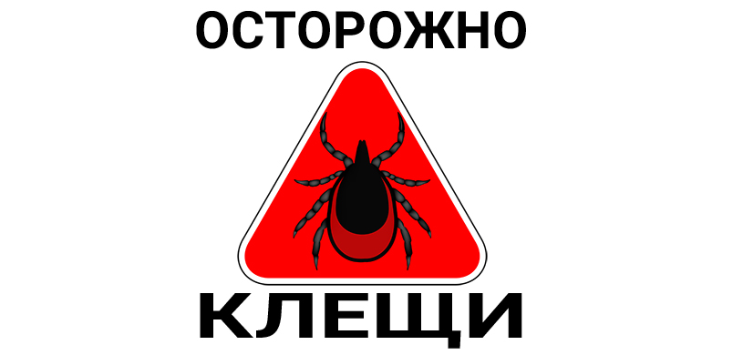 Памятка населению о мероприятиях по профилактике укусов клещей Памятка населению о мероприятиях по профилактике укусов клещей.